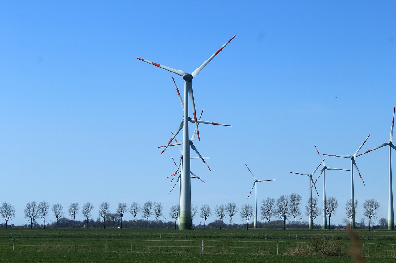 Making the Case for Community Wind Farms